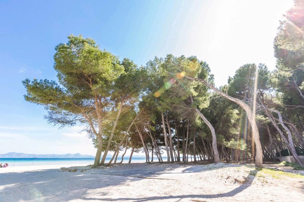 Vila Pinya Port d'Alcúdia Exteriér fotografie
